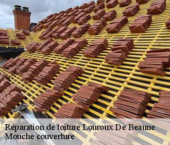 Réparation de toiture louroux-de-beaune-03600 Mouche couverture