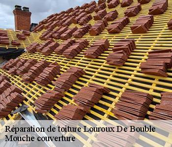 Réparation de toiture louroux-de-bouble-03330 Mouche couverture
