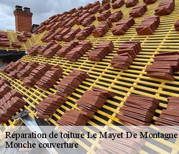 Réparation de toiture le-mayet-de-montagne-03250 Mouche couverture