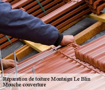 Réparation de toiture 03150