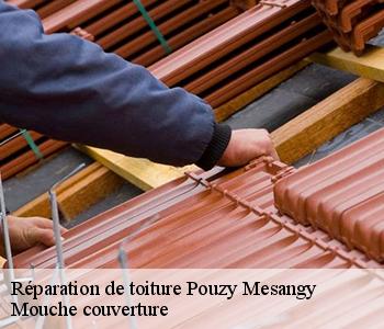 Réparation de toiture 03320