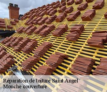 Réparation de toiture saint-angel-03170 Mouche couverture