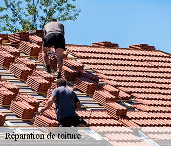 Réparation de toiture