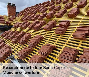 Réparation de toiture saint-caprais-03190 Mouche couverture