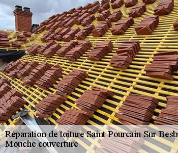 Réparation de toiture saint-pourcain-sur-besbre-03290 Mouche couverture