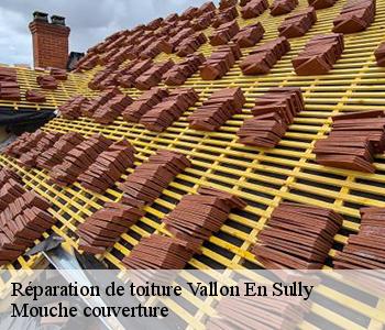 Réparation de toiture vallon-en-sully-03190 Mouche couverture