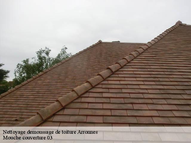 Nettoyage demoussage de toiture  arronnes-03250 Mouche couverture 03