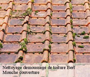 Nettoyage demoussage de toiture 03130