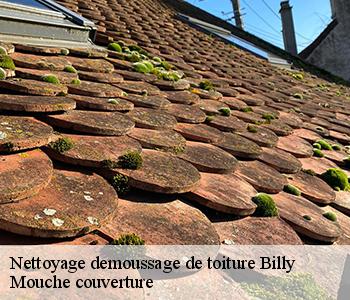 Nettoyage demoussage de toiture