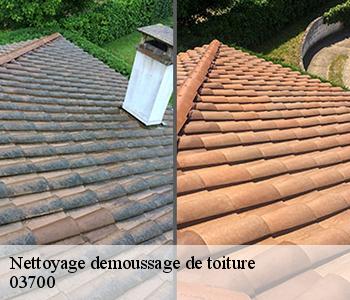 Nettoyage demoussage de toiture  03700