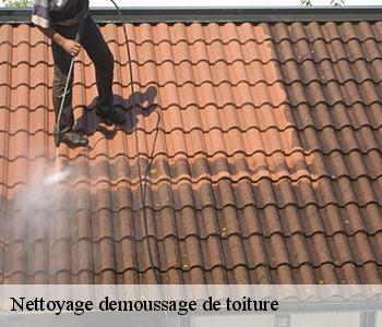 Nettoyage demoussage de toiture  03700