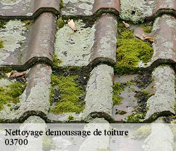 Nettoyage demoussage de toiture  03700