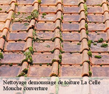 Nettoyage demoussage de toiture  03600