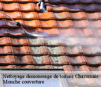 Nettoyage demoussage de toiture chazemais-03370 Mouche couverture
