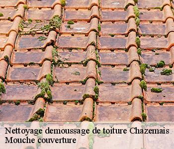 Nettoyage demoussage de toiture 03370