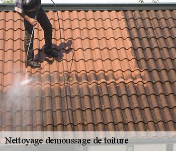 Nettoyage demoussage de toiture 03370