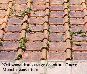 Nettoyage demoussage de toiture 03220