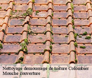 Nettoyage demoussage de toiture 03600