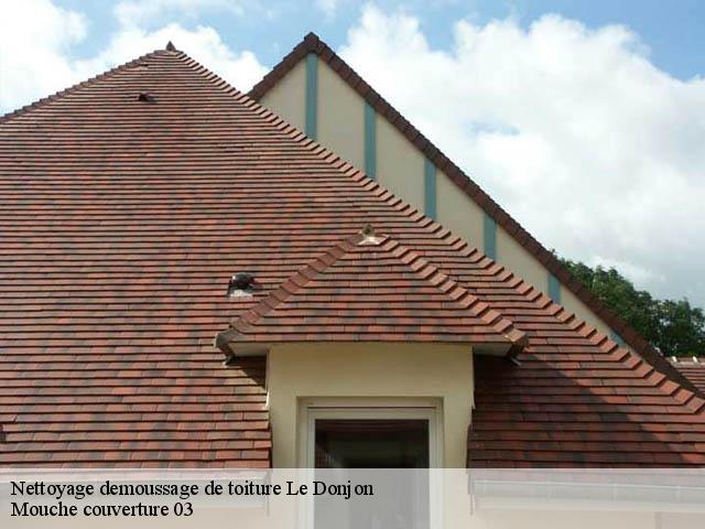 Nettoyage demoussage de toiture  03130