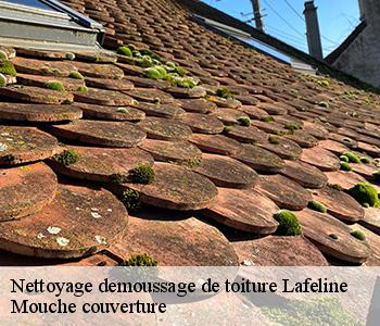Nettoyage demoussage de toiture