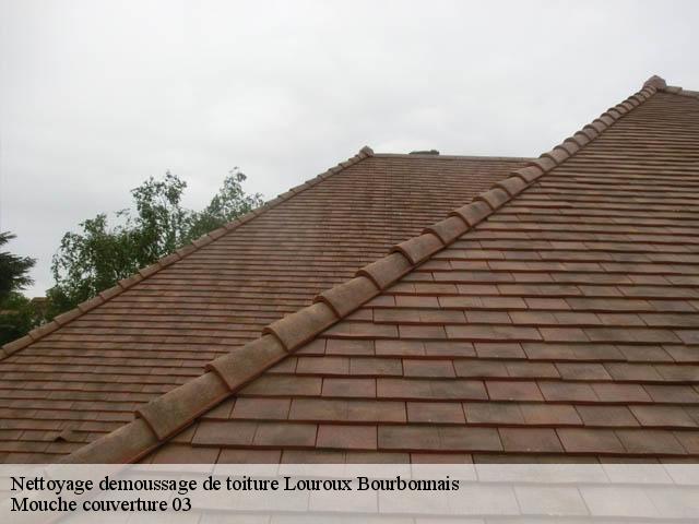 Nettoyage demoussage de toiture  louroux-bourbonnais-03350 Mouche couverture 03