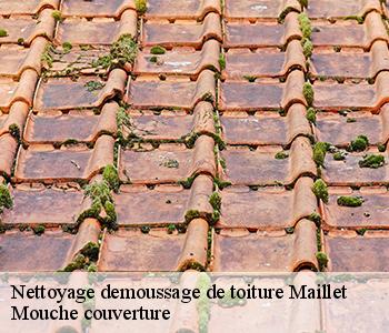 Nettoyage demoussage de toiture 03190