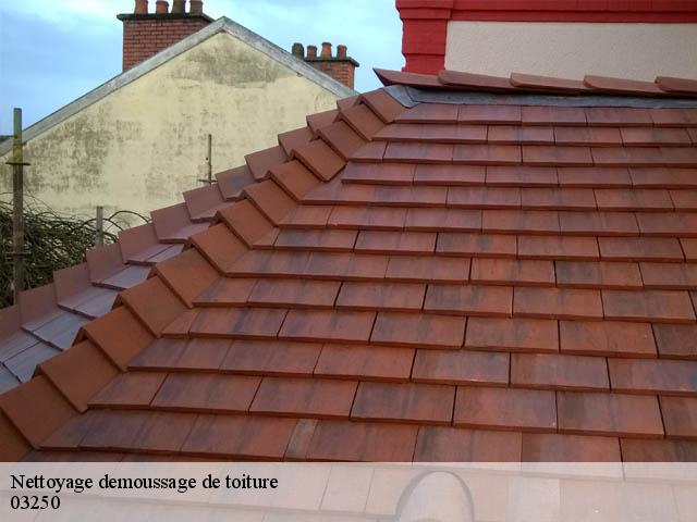 Nettoyage demoussage de toiture 03250