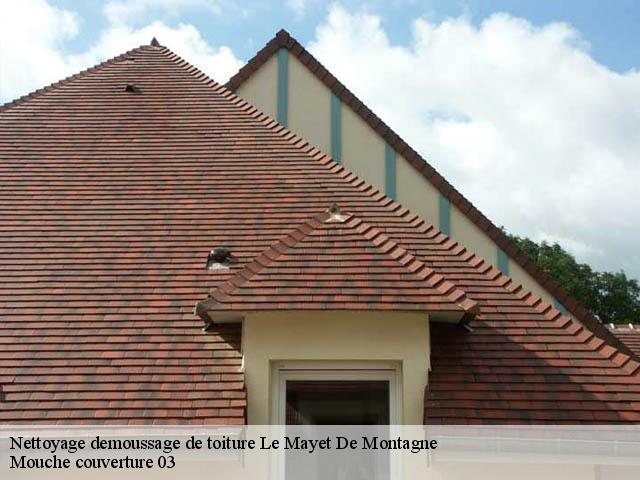 Nettoyage demoussage de toiture  03250