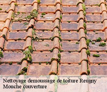 Nettoyage demoussage de toiture 03190