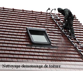 Nettoyage demoussage de toiture