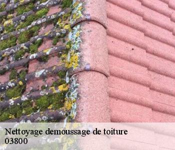 Nettoyage demoussage de toiture