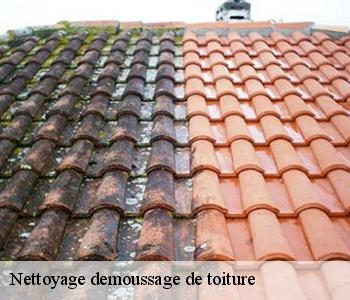 Nettoyage demoussage de toiture