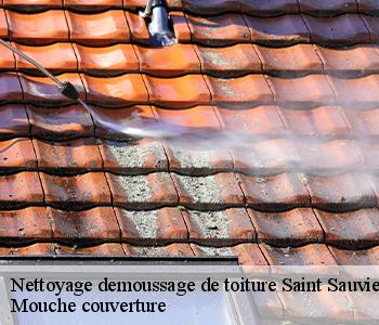 Nettoyage demoussage de toiture  saint-sauvier-03370 Mouche couverture 03