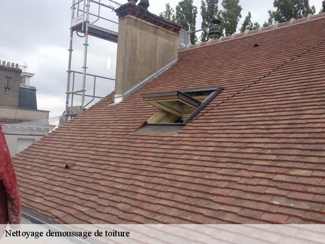 Nettoyage demoussage de toiture 03430