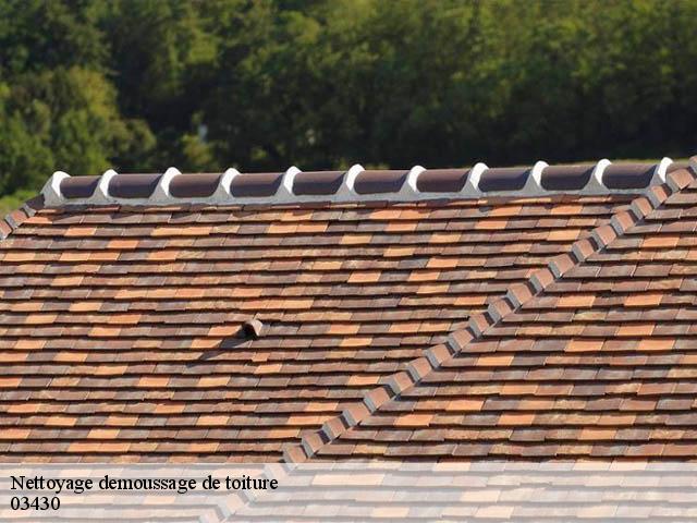 Nettoyage demoussage de toiture 03430