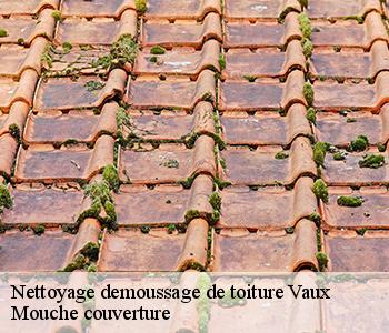 Nettoyage demoussage de toiture 03190