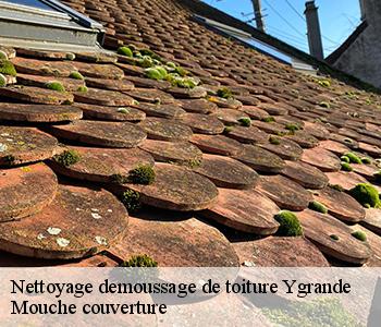 Nettoyage demoussage de toiture