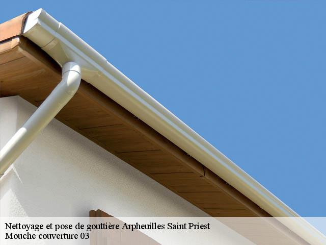 Nettoyage et pose de gouttière  arpheuilles-saint-priest-03420 Mouche couverture 03