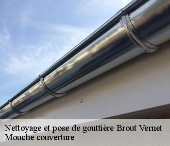 Nettoyage et pose de gouttière 03110