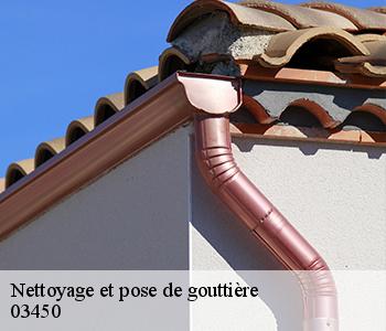 Nettoyage et pose de gouttière  03450