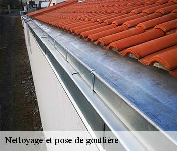 Nettoyage et pose de gouttière  03450