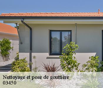 Nettoyage et pose de gouttière  03450