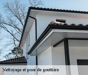 Nettoyage et pose de gouttière