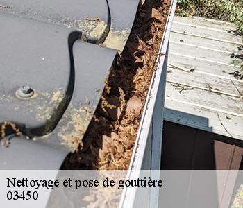 Nettoyage et pose de gouttière