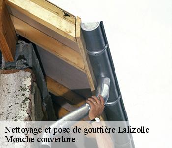 Nettoyage et pose de gouttière lalizolle-03450 Mouche couverture 03