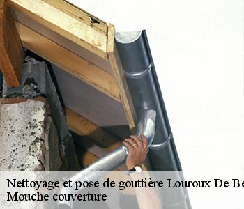 Nettoyage et pose de gouttière louroux-de-beaune-03600 Mouche couverture