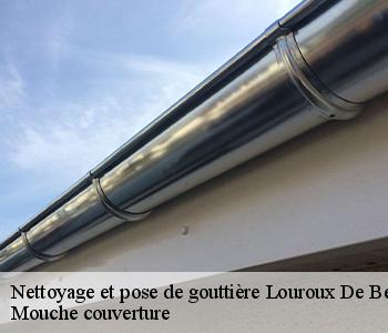 Nettoyage et pose de gouttière 03600