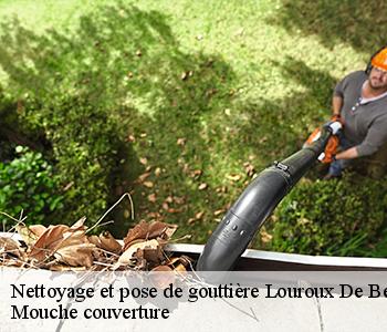 Nettoyage et pose de gouttière