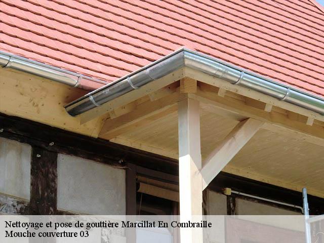Nettoyage et pose de gouttière 03420