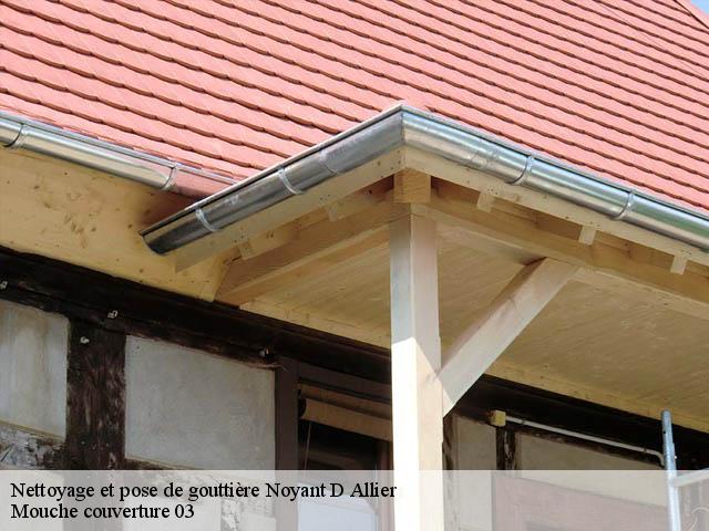 Nettoyage et pose de gouttière 03210